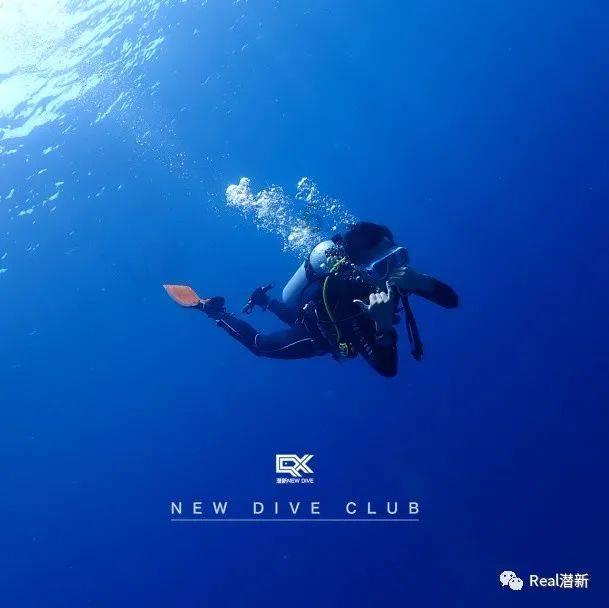 《科目三》或上春晚冲上热搜，网友吵疯了......